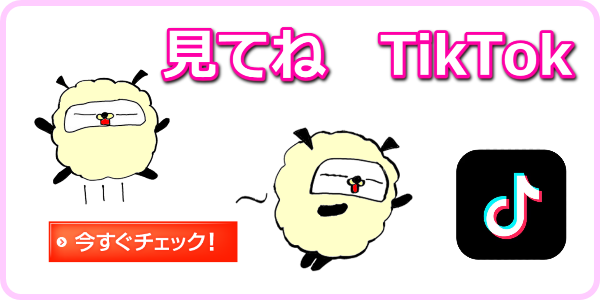 ようかんさんtiktok